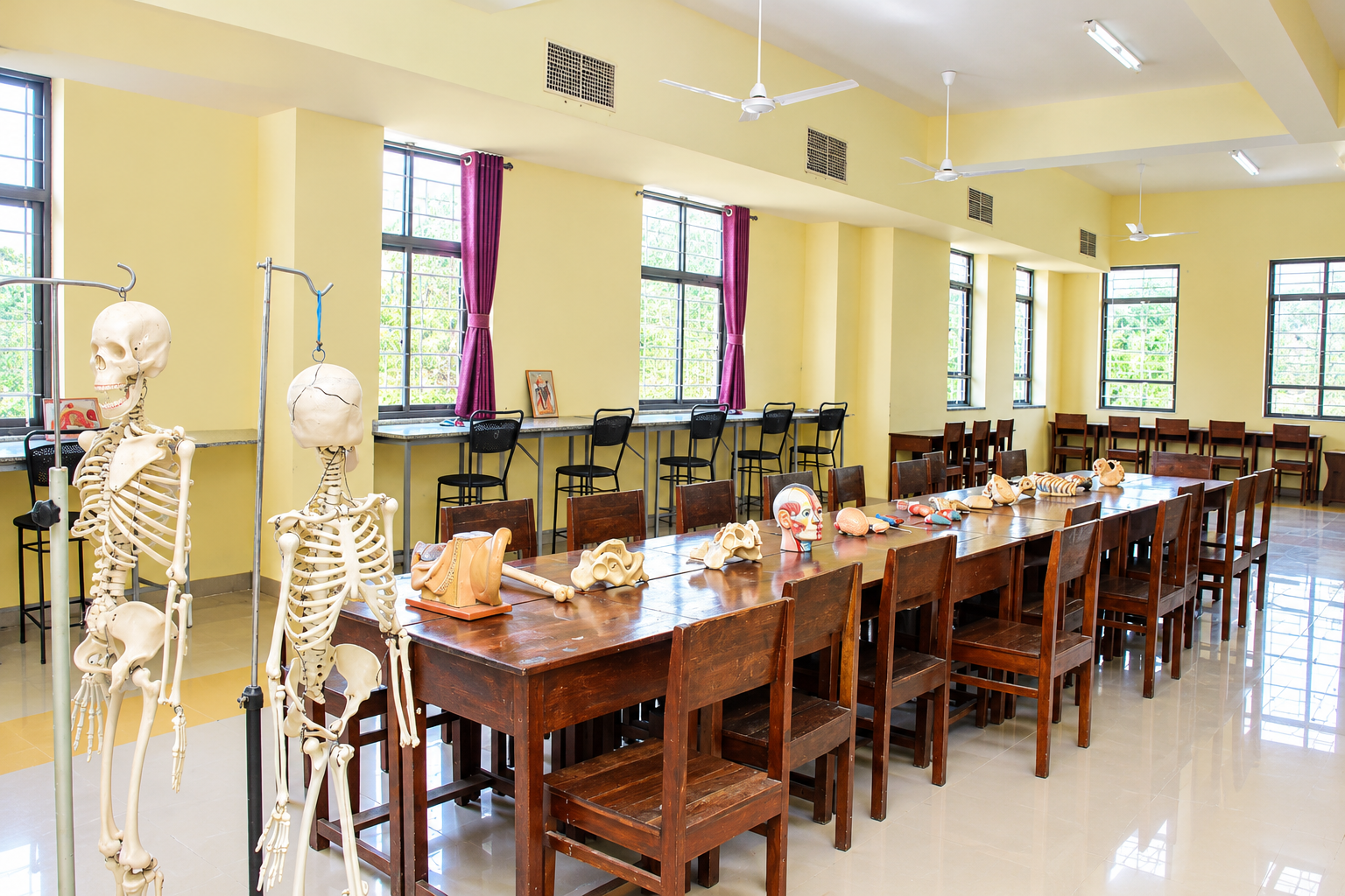 Human Anatomy Demonstration Hall